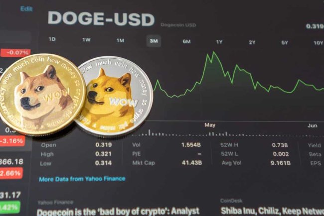 AI Predicts DOGE Price for Year-End
